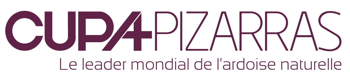 logo cupa pizarras<br />
